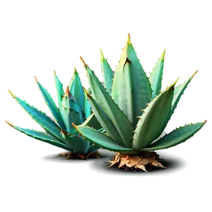 Agave Plant Illustration Png Xsi PNG Image