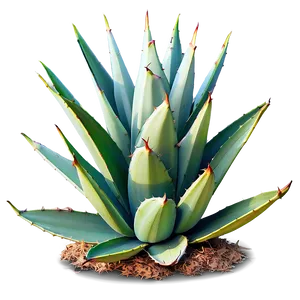 Agave Plant Outline Png Sud23 PNG Image