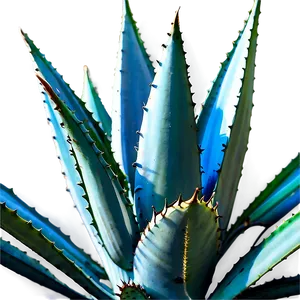 Agave Plantation View Png 14 PNG Image