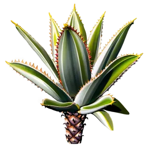 Agave Tequilana Plant Png Nge PNG Image