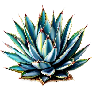 Agave Vector Art Png Fbm PNG Image