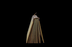Aged Book Standing On Edge PNG image with transparent background