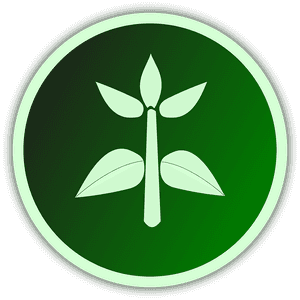 Agriculture, Crop, Food, Grain, Plant, World - Agriculture We Feed The World, HD Png Download PNG