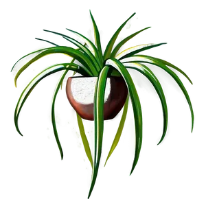 Air Plant Clipart Png Vko19 PNG Image