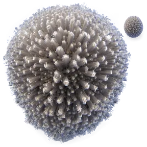 Airborne Dust Particles Texture Png Onw PNG Image