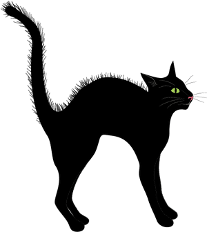 Free Clip-art, Black Cat - Black Cat, HD Png Download PNG image with transparent background
