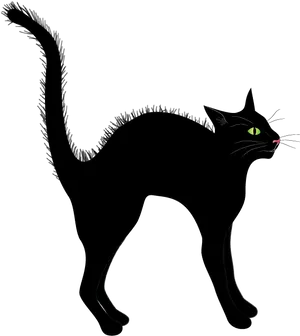 Alert Black Cat Illustration.png PNG Image