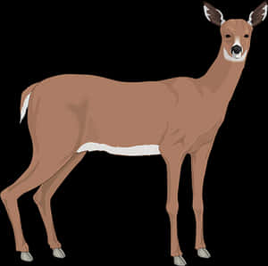 Alert Brown Deer Illustration PNG image with transparent background