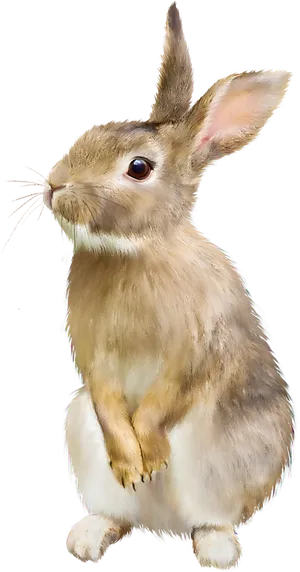 Alert Brown Rabbit Illustration.png PNG Image