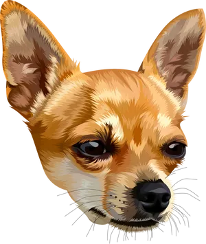 Alert Chihuahua Portrait PNG Image