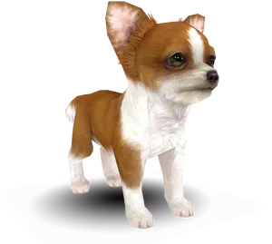 Alert Chihuahua Standing PNG Image