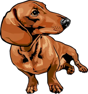 Alert Dachshund Illustration PNG Image