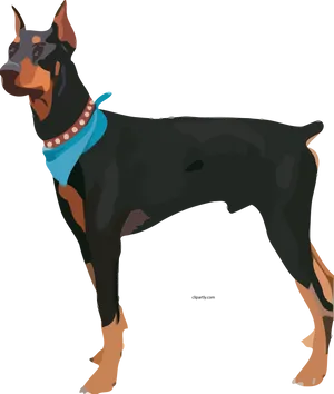 Alert Doberman Standing Vector PNG Image