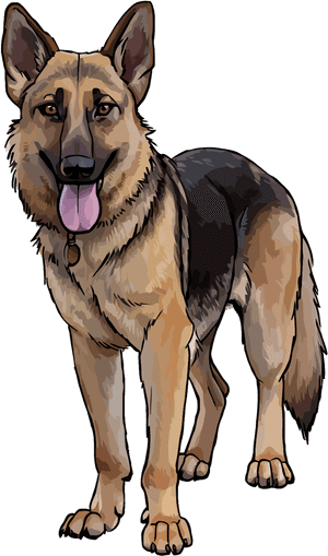 Transparent Police German Shepherd Clipart - Cute German Shepherd Clipart, HD Png Download PNG image with transparent background