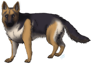 Collection Of Shepherd - Cartoon Dogs German Shepherd, HD Png Download PNG image with transparent background