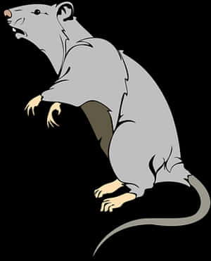 Alert Grey Rat Illustration PNG image with transparent background