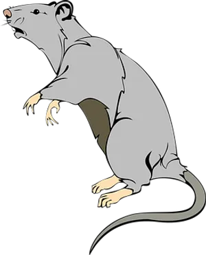 Alert Grey Rat Illustration PNG Image