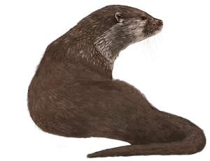 Alert Otter Profile PNG Image