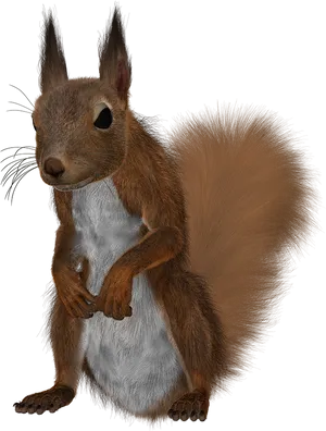 Alert Red Squirrel Standing PNG Image