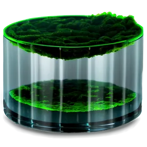 Algae In Water Tank Png Hgv PNG Image