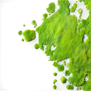 Algae Texture Background Png Llg74 PNG Image