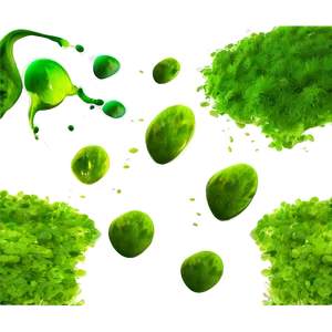 Algae Texture Background Png Wkb PNG Image