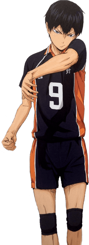 All Worlds Alliance Wiki - Haikyuu Facts, HD Png Download PNG image with transparent background
