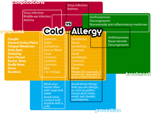 Allergy Cold , Png Download - Sinus Infection Vs Cold Vs Allergies, Transparent Png PNG image with transparent background
