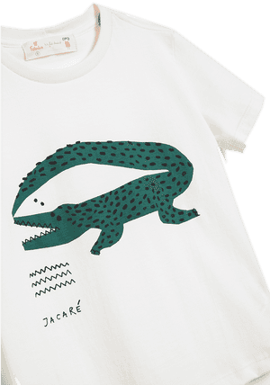 Alligator, HD Png Download PNG image with transparent background