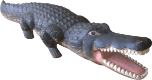 Alligator Head Png, Transparent Png PNG image with transparent background