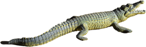 Alligator Png File - Répteis Png, Transparent Png PNG image with transparent background