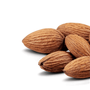 Almond Nut PNG 43 PNG with transparent background