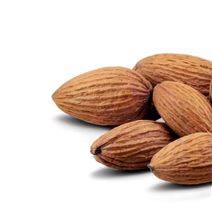 Almond Nut Png 43 PNG Image