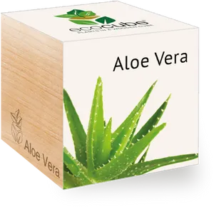 Aloe Vera Eco Cubes Packaging PNG Image