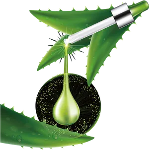 Aloe Vera Extraction Illustration PNG Image