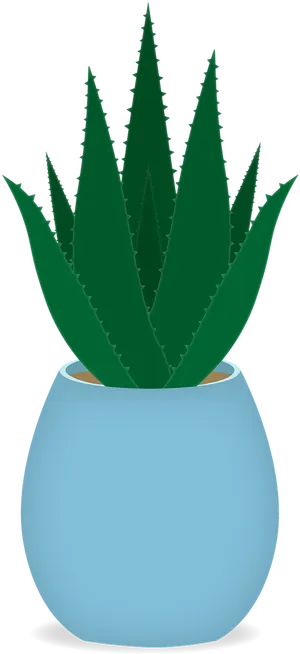 Aloe Vera Plantin Blue Pot PNG Image