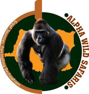 Alpha Gorilla Safari Graphic PNG Image