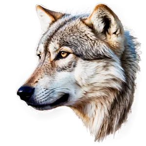 Alpha Wolf In Moonlight Png 06292024 PNG Image