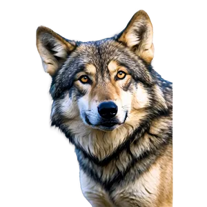 Alpha Wolf With Feathers Png Jod PNG Image