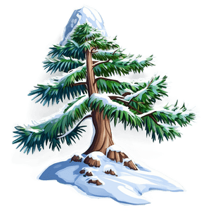 Alpine Snow Tree PNG rkv PNG