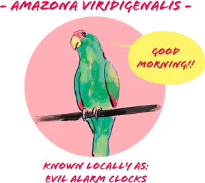 Amazon Parrot Good Morning Illustration PNG Image