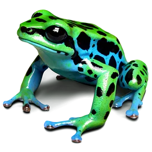 Amazon Poison Dart Frog Png 06132024 PNG Image