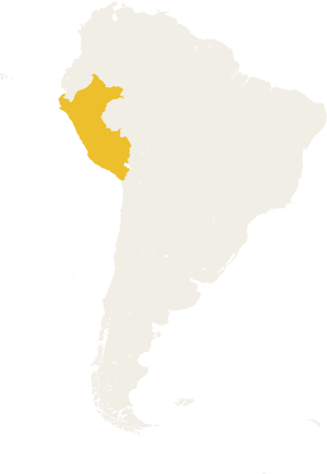 Peru - Srtm South America, HD Png Download PNG image with transparent background