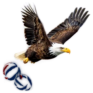 American Eagle Flying High Png Pkt74 PNG Image