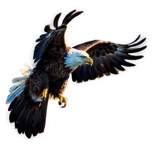 American Eagle In Dawn Light Png Gaq12 PNG Image