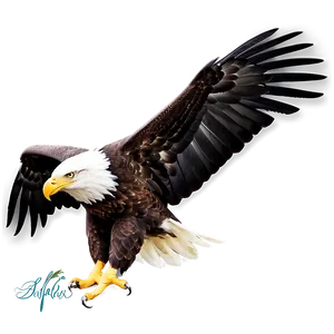 American Eagle In Forest Png 44 PNG Image