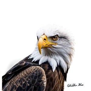 American Eagle In Forest Png Vij PNG Image