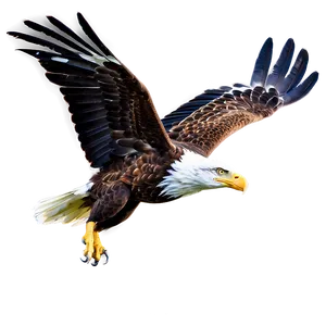 American Eagle In Sky Png 50 PNG Image