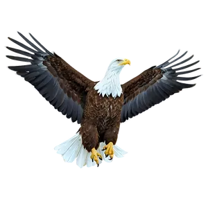 American Eagle In Snow Png 06122024 PNG Image