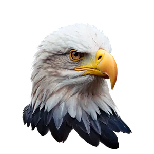 American Eagle Minimalist Png 06122024 PNG Image